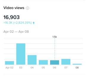 TikTok Views